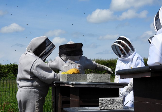 Meet the Community Group-Down to Zero Ltd.