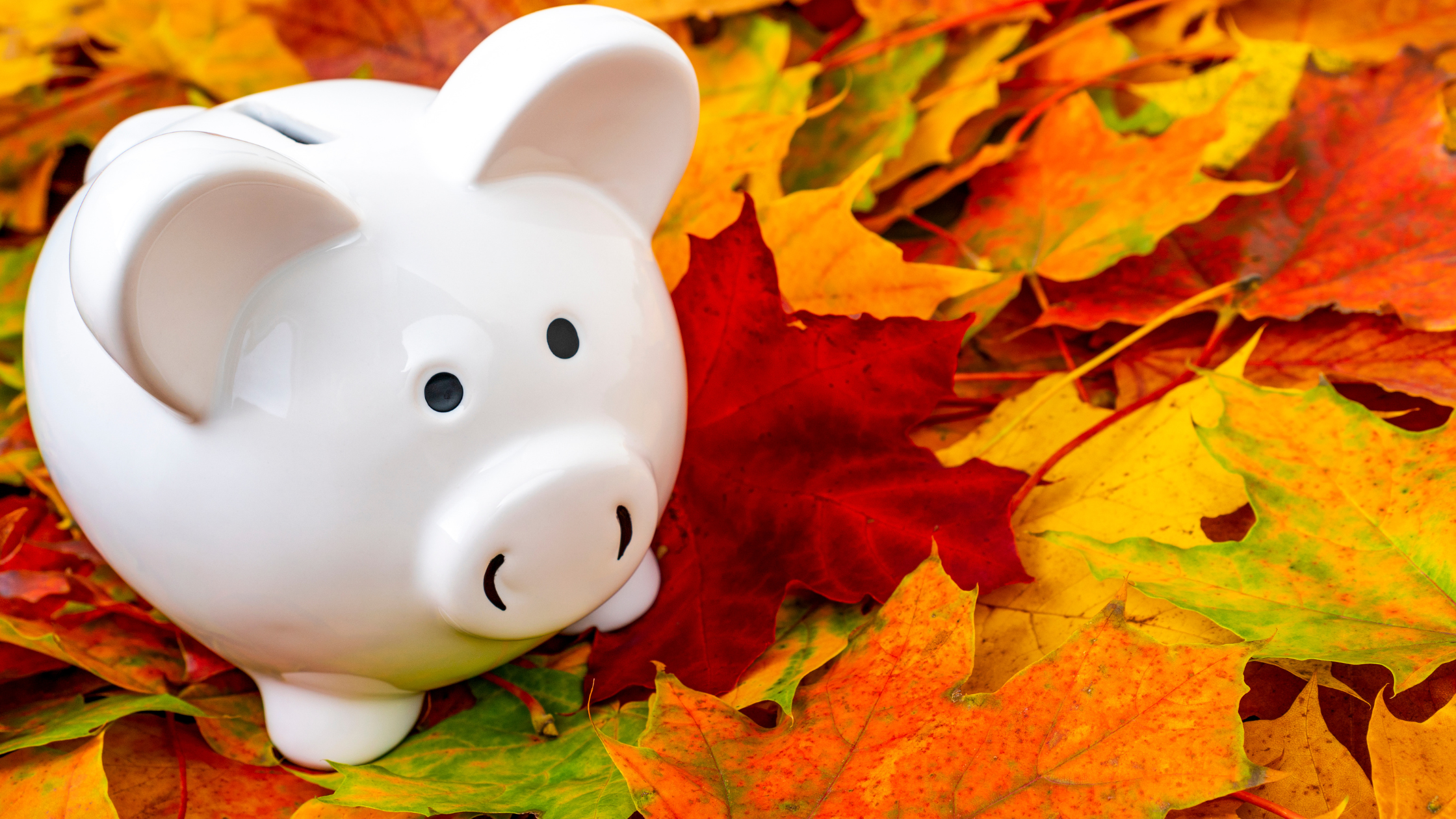 Autumn Money-Saving Tips from Smart Money Cymru